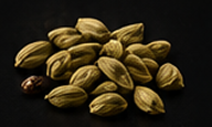 CARDAMOM