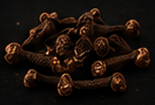 CLOVES